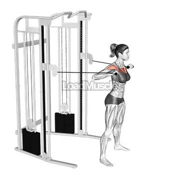 Cable Standing Chest Press