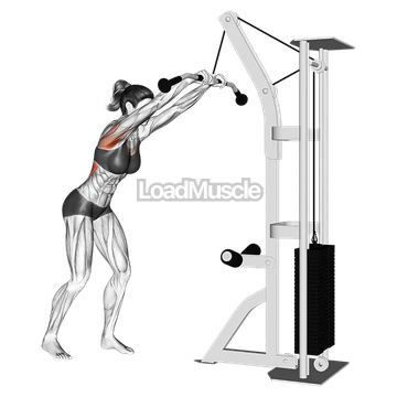 Cable straight arm pulldown