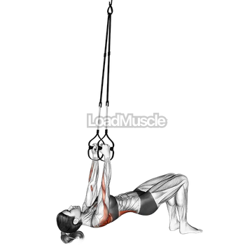 Suspender Bent knee Inverted Row