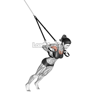 Suspender Chest Press