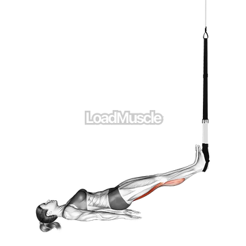 Suspender Hamstring Runner