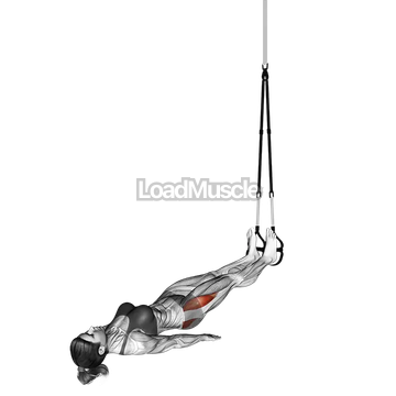 Suspender Hip Abduction