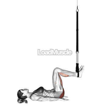 Suspender Hip Bridge