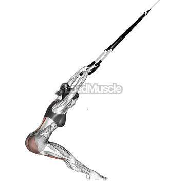 Suspender Hyperextension