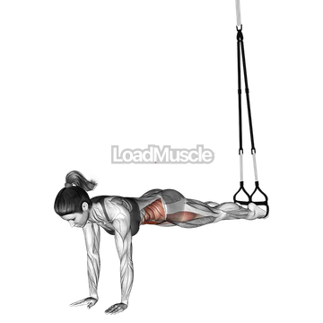 Suspender Jack knife Pike