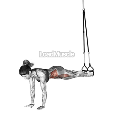 Suspender Jack knife