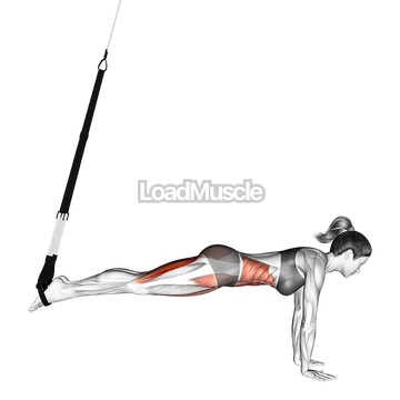 Suspender Mountain Climber