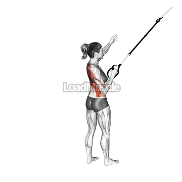 Suspender Power Pull