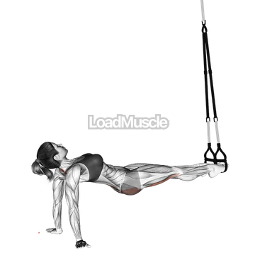 Suspender Pull Through