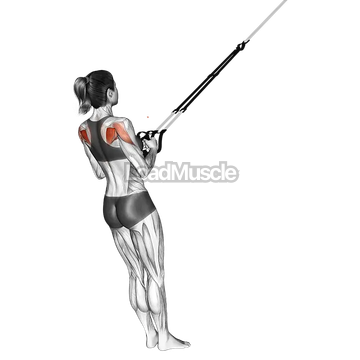 Suspender Shoulder External Rotation