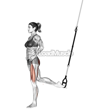 Suspender Single Leg Split Squat