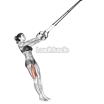 Suspender Single Leg Squat