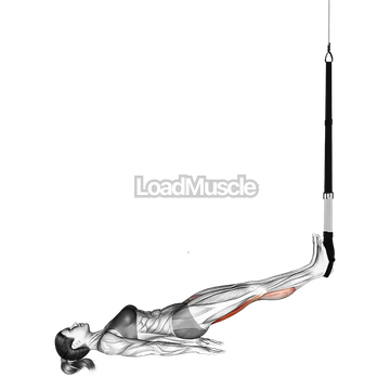 Suspender Straight Hip Leg Curl