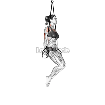 Suspender Triceps Dip