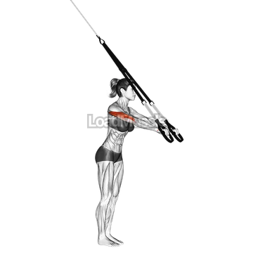 Suspender Triceps Extension