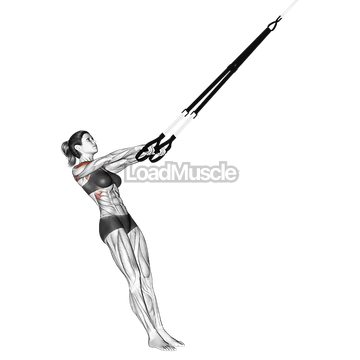 Suspender Y Lateral Raise