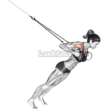 Suspender Close grip Chest Press