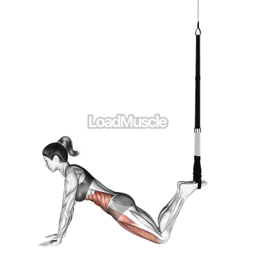 Suspender Front Plank