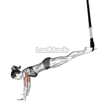 Suspender Incline Push up