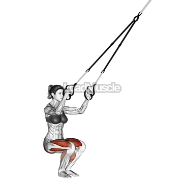 Suspender Jump Squat