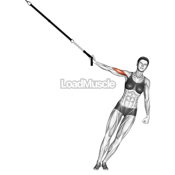 Suspender One Arm Biceps Curl