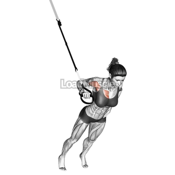 Suspender One Arm Chest Press