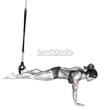 Suspender One Arm Leg Push up