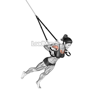 Suspender One Leg Chest Press