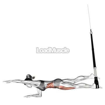 Suspender Single Leg Plank (straight arm)