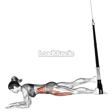 Suspender Single Leg Plank