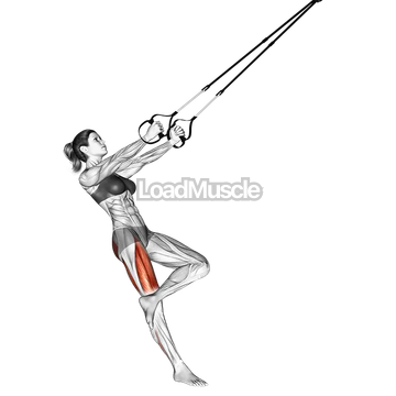 Suspender Single Leg Squat (figure)