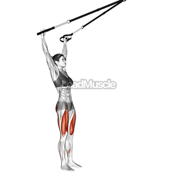 Suspender Squat (Arms Overhead)