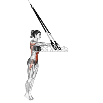 Suspender Standing Ab Rollout