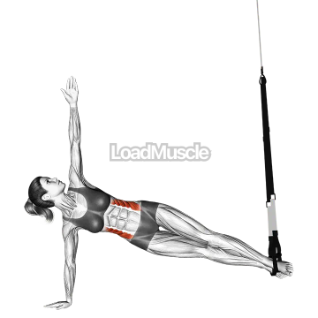 Suspender Star Plank