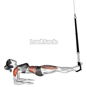 Suspender Supine Plank