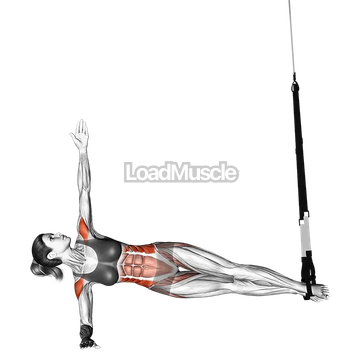 Suspender Twist Side