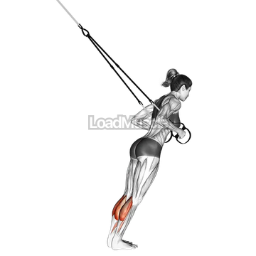 Suspender Calf Raise