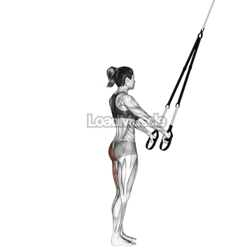 Suspender Single Leg Deadlift