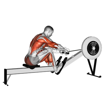 Rowing (with rowing machine)