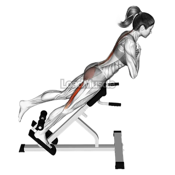 45 degree one leg hyperextension (arms in front of chest)