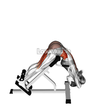 45 degree twisting hyperextension