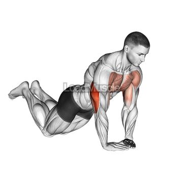 Diamond Push up (on knees)