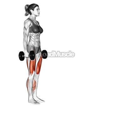 Dumbbell forward leaning lunge