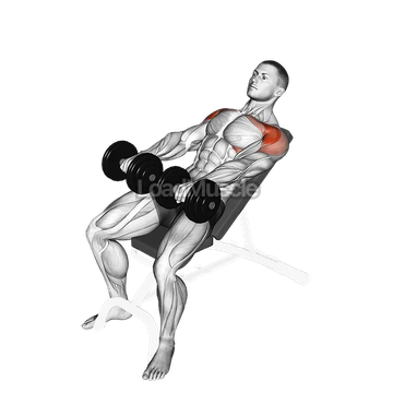 Dumbbell Incline Front Raise