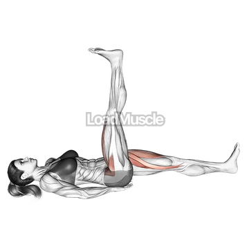 Lying Simultaneous Alternating Straight Leg Raise
