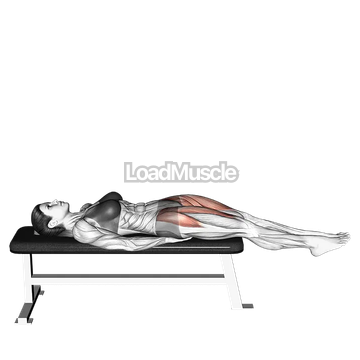 Lying Straight Leg Raise