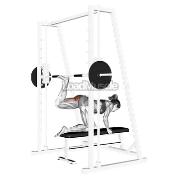 Smith kneeling rear kick