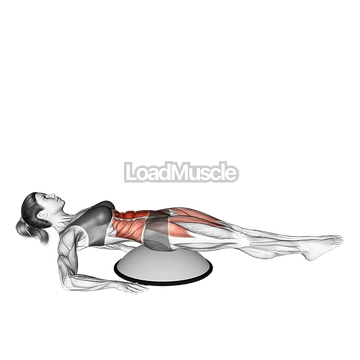 Alternate Straight Leg Raise (on bosu ball)