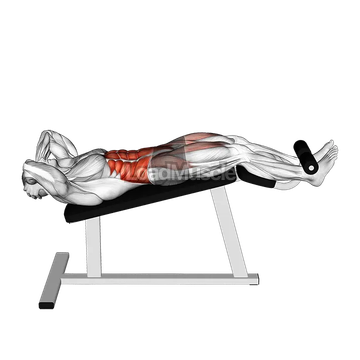 Incline Twisting Sit up