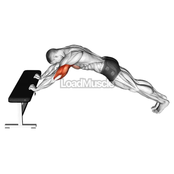 Triceps Press (Head Below Bench)